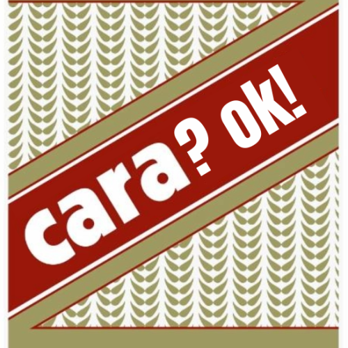 Cara?ok!-we'recalledED.png